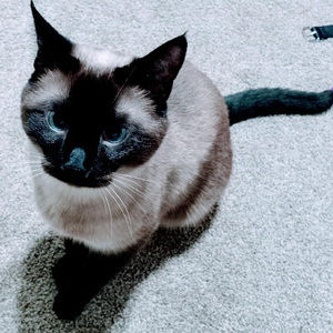 Meet your Posher, Madelyn